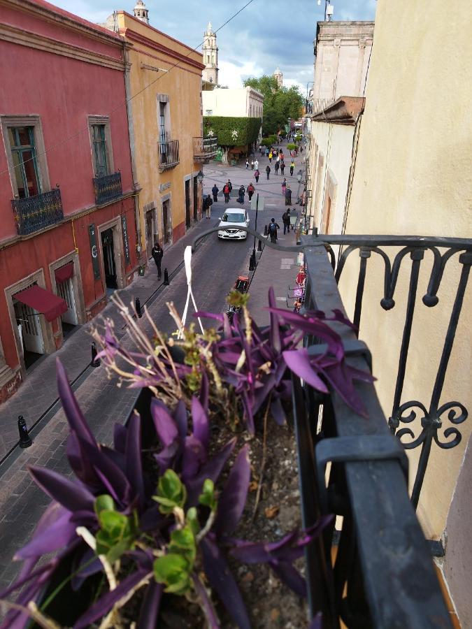 Lele Panchito Y Lavanda Juntos En El Centro كويريتارو المظهر الخارجي الصورة