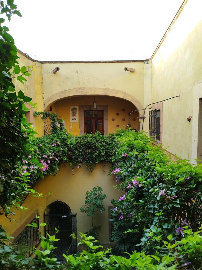 Lele Panchito Y Lavanda Juntos En El Centro كويريتارو المظهر الخارجي الصورة